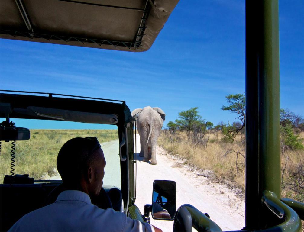 Mokuti Etosha Villa Namutoni Bagian luar foto