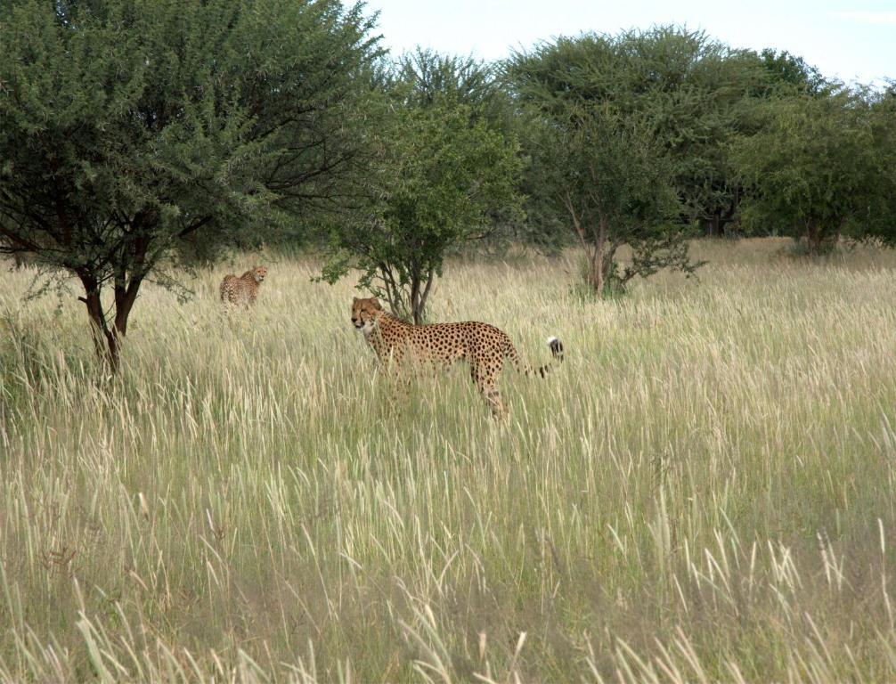 Mokuti Etosha Villa Namutoni Bagian luar foto