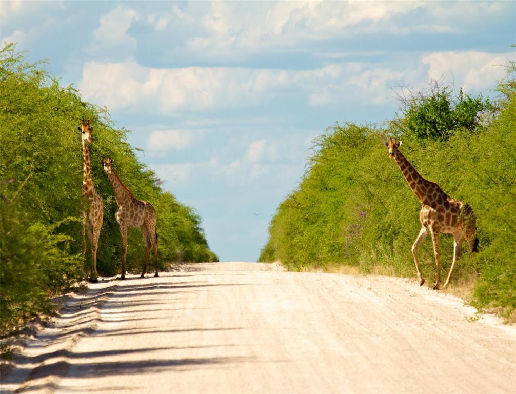Mokuti Etosha Villa Namutoni Bagian luar foto