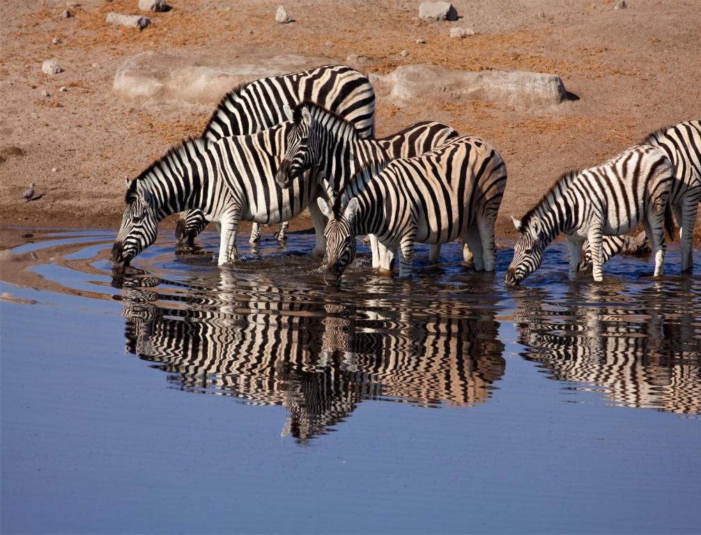 Mokuti Etosha Villa Namutoni Bagian luar foto